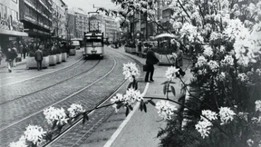 Die Schwarzmaler hatten Unrecht