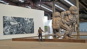 Hammerhaie im Pelzgewand