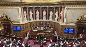 Konservative Opposition verteidigt Mehrheit im Senat