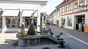 Zwei langjährige Landespolitiker treten an