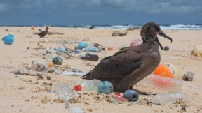 Womit kriegt man den Plastikmüll wieder aus dem Meer?