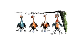 Ich wollt, ich wär ein Huhn