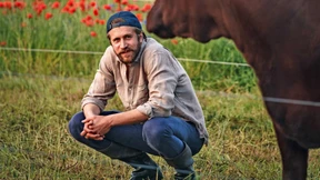 Bunt sind hier die Felder