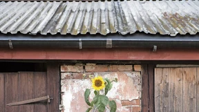 Halten, verkaufen, renovieren?