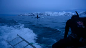 Neue Art von Killerwalen bestätigt