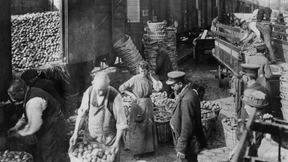 Gegen den Preiswucher