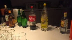 Der Empfang der Deutschen