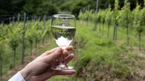 Was ist das richtige Alter für den Wein?