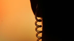 „Russland bewegt sich in Richtung Diktatur“