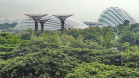 Eine Oase für Millionen