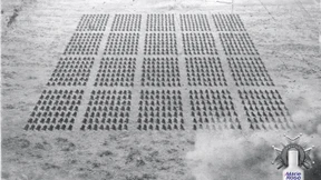 Insektenbekämpfung mit den Waffen des Weltkriegs