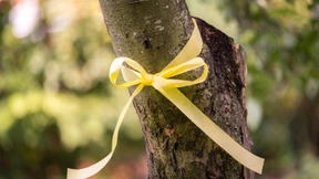 Gelbes Band heißt Erntezeit