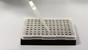 Warum Ermittler DNA-Spuren zur Herkunftsermittlung nutzen sollten