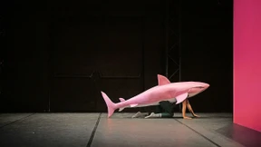 Quatsch mit rosa Hai