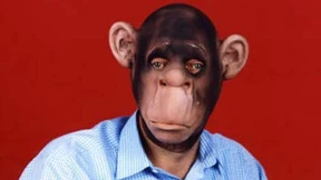 In sieben  Minuten war alles verkauft!