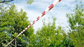 Zuschüsse für Elektrozäune gegen den Wolf