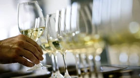 Wo es in Österreich die besten Weine gibt