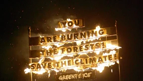 Schwarzbuch des grünen Gewissens