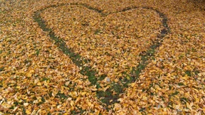 Postdoc Blues oder "Holla die Waldfee"