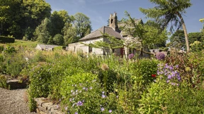 Junes blühende Schatzkiste