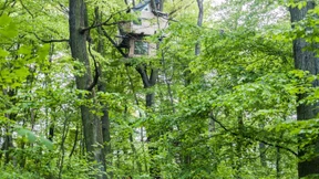 Im Baumhaus nicht schmollen