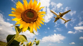 SPD will Bahn fördern und Fliegen verteuern