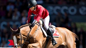 Wallach statt Deckhengst