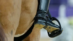 Tierquälerei im Reiten führt zu Turnierabbruch in München