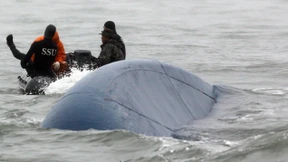 Taucher dringen erstmals ins Innere der Fähre vor