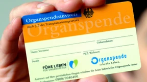 Weniger als 800 Organspender im vergangenen Jahr