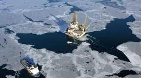 Japanischer Scherbenhaufen