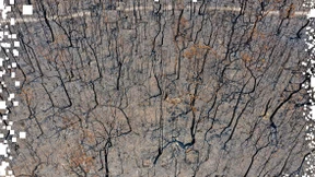 Die digitale Spur des Klimawandels