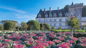 Königliches Gemüse