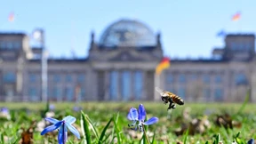 Das Parlamentarische Regierungssystem in der Pandemie