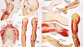 Herr Doktor, verstehst du?
