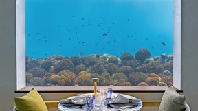 Einmal abtauchen, bitte