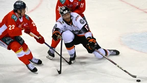 Die neuen Wege der Löwen in der DEL