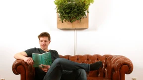 Salat von der Wohnzimmerwand