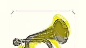 Wissen muss man wollen