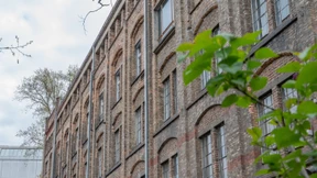 Dondorf, Riesser und die Paulskirche