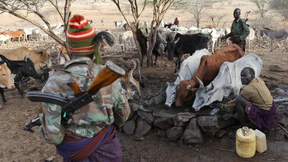 Wie sich der Mensch seine eigene Hungersnot macht