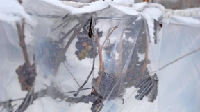 Ein nasser und kalter Ausreißer