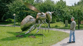 Krabbeln, schmatzen und summen