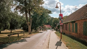 Als säße Irans Sittenpolizei mit an der Brandenburger Festtafel