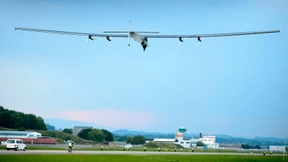 Auch ohne Sonne der Sonne entgegen