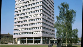 Schwarz-weiß-rot-braune Kontinuitätslinien