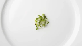 Wer alt werden will, sollte weniger essen