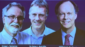 Medizinnobelpreis geht an Zellforscher 