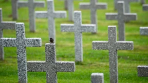 Gesten des Vertrauens