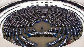 „Briefkastenfirmen sind großangelegtes Schmarotzertum“